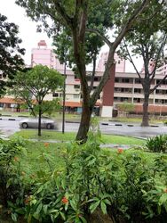 Blk 704 Ang Mo Kio Avenue 8 (Ang Mo Kio), HDB 3 Rooms #438493981